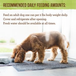 Merrick Lil' Plates Petite Pates Premium Grain-Free Lamb Dinner Wet Dog Food, 3-oz can, case of 3 slide 2 of 9