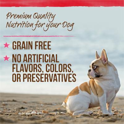 Show full view: Merrick Lil' Plates Petite Pates Premium Grain-Free Beef Dinner Wet Dog Food, 3-oz can, case of 3 slide 8 of 12