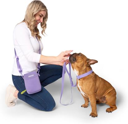 Show full view: Canada Pooch Everything Dog Walking Bag with Poop Bag Dispenser, Lavender slide 4 of 5
