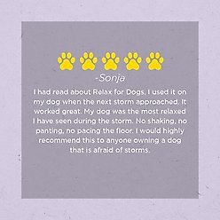 Farm Dog Naturals Relax Stress & Anxiety Formula Calming Liquid for Dogs, 1-fl oz bottle slide 2 of 6