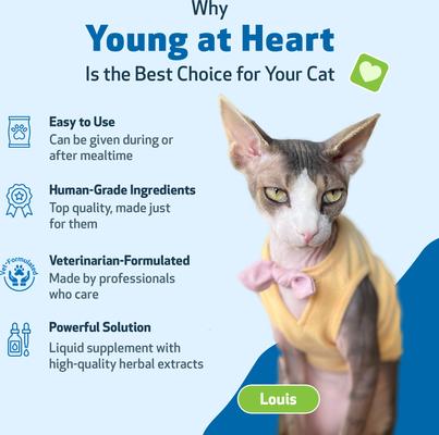 Show full view: Pet Wellbeing Young at Heart Bacon Flavored Liquid Heart Supplement for Cats, 2-fl oz bottle slide 7 of 9