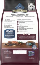 Blue Buffalo Wilderness Senior High-Protein Salmon Recipe Dry Dog Food, 4.5-lb bag slide 2 of 9