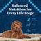 Show in main carousel: Blue Buffalo Wilderness Puppy High-Protein Salmon Recipe Natural Dry Dog Food, 4.5-lb bag slide 9 of 11