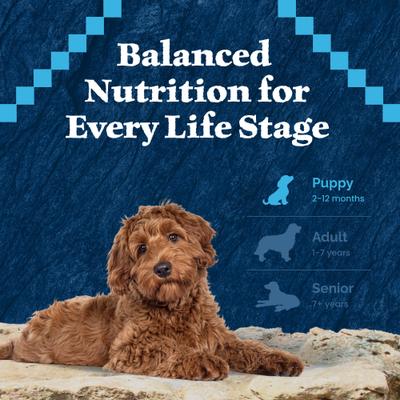 Show full view: Blue Buffalo Wilderness Puppy High-Protein Salmon Recipe Natural Dry Dog Food, 4.5-lb bag slide 9 of 11