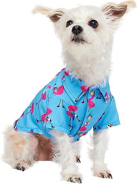 Show full view: Frisco Summer Flamingo Dog & Cat Polo Camp Shirt, X-Small slide 2 of 12