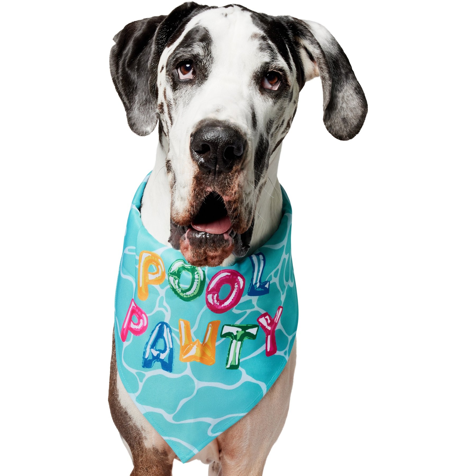 Frisco Summer Pool Pawty Dog & Cat Bandana, XXX-Large