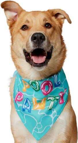 Hotel Doggy Acid-Wash Denim Dog Bandana