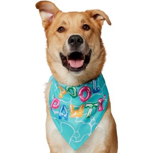 Frisco Summer Pool Pawty Dog & Cat Bandana, X-Large/XX-Large