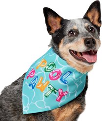 Frisco Summer Pool Pawty Dog & Cat Bandana, Medium/Large