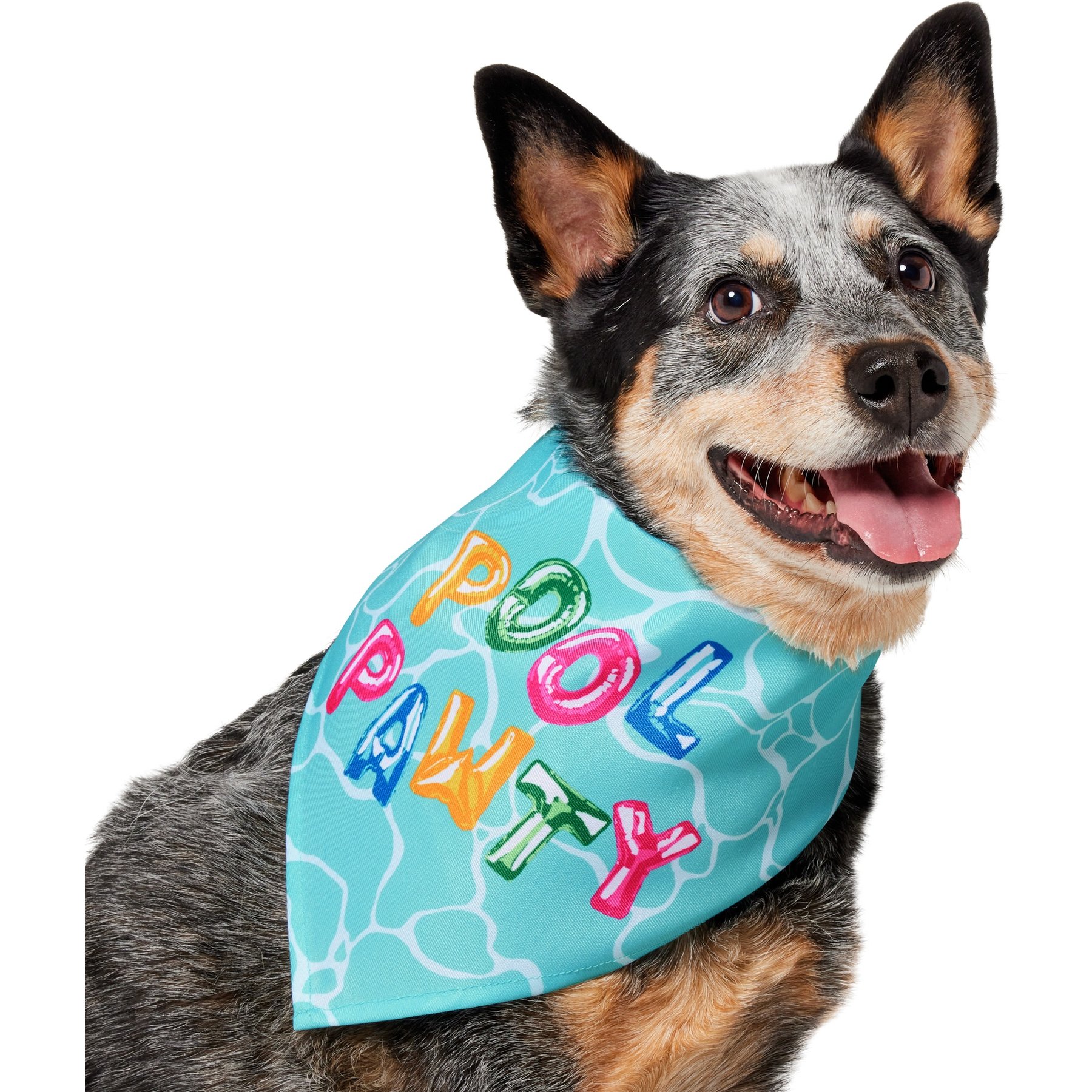Frisco Summer Pool Pawty Dog & Cat Bandana, Medium/Large