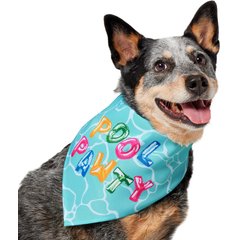 Frisco Summer Pool Pawty Dog & Cat Bandana, Medium/Large