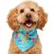 Show in main carousel: Frisco Summer Pool Pawty Dog & Cat Bandana, X-Small/Small slide 2 of 10