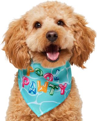 Show full view: Frisco Summer Pool Pawty Dog & Cat Bandana, X-Small/Small slide 2 of 10