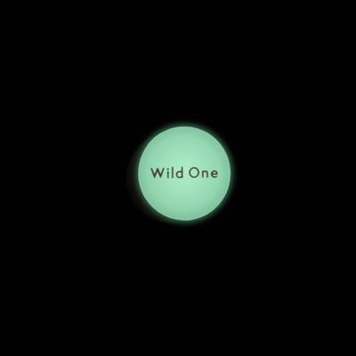 Show full view: Wild One Glow-in-the-Dark AirTag Holder, 2 count slide 5 of 7