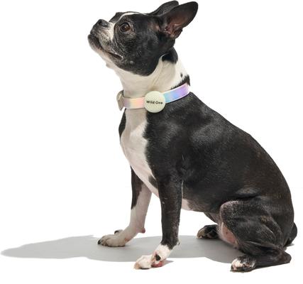 Show full view: Wild One Glow-in-the-Dark AirTag Holder, 2 count slide 2 of 7