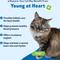 Show in main carousel: Pet Wellbeing Young at Heart Bacon Flavored Liquid Heart Supplement for Cats, 2-fl oz bottle slide 8 of 9