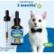 Show in main carousel: Pet Wellbeing Young at Heart Bacon Flavored Liquid Heart Supplement for Cats, 2-fl oz bottle slide 6 of 9
