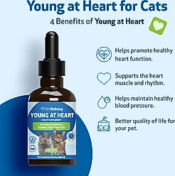 Pet Wellbeing Young at Heart Bacon Flavored Liquid Heart Supplement for Cats, 2-fl oz bottle slide 2 of 7