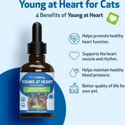 Show full view: Pet Wellbeing Young at Heart Bacon Flavored Liquid Heart Supplement for Cats, 2-fl oz bottle slide 3 of 9