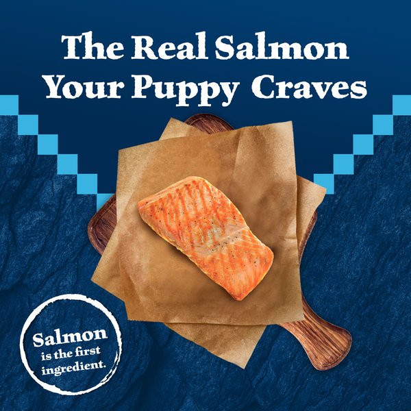 Blue Buffalo Wilderness Puppy High-Protein Salmon Recipe Natural Dry Dog Food