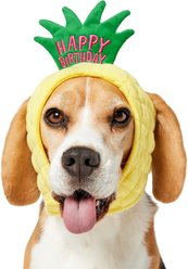 Frisco Happy Birthday Pineapple Dog & Cat Hat, Medium/Large