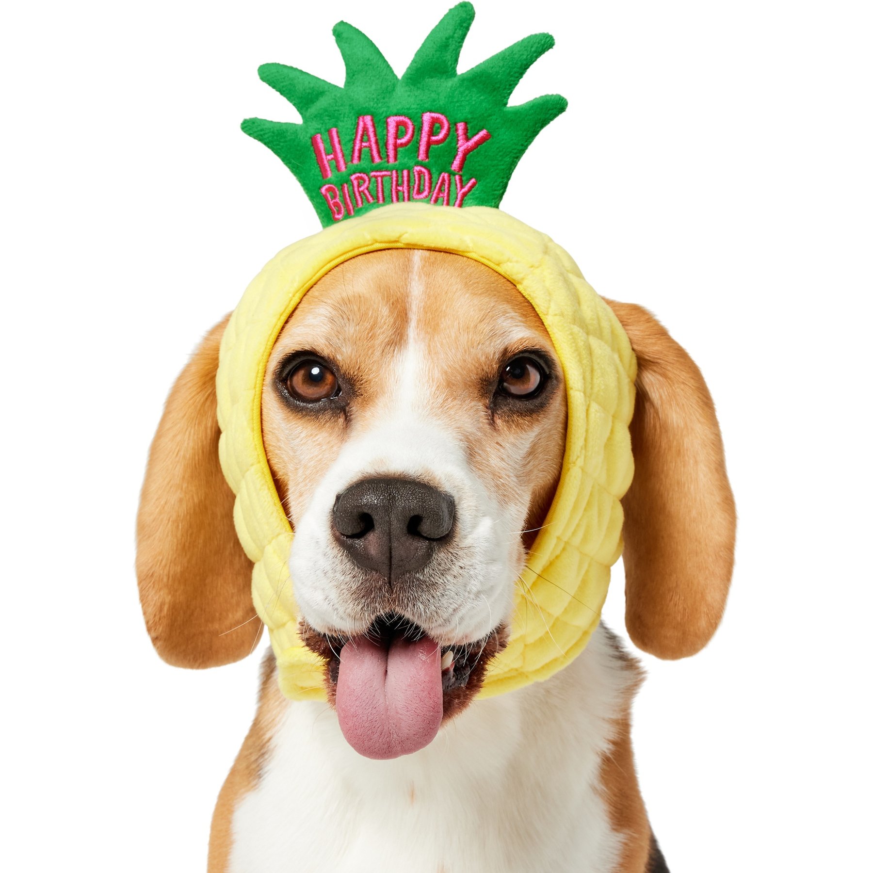 Frisco Happy Birthday Pineapple Dog & Cat Hat, Medium/Large