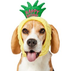 Frisco Happy Birthday Pineapple Dog & Cat Hat, Medium/Large