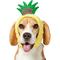 Show in main carousel: Frisco Happy Birthday Pineapple Dog & Cat Hat, Medium/Large slide 1 of 9