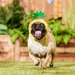 Frisco Happy Birthday Pineapple Dog & Cat Hat, X-Small/Small slide 2 of 8