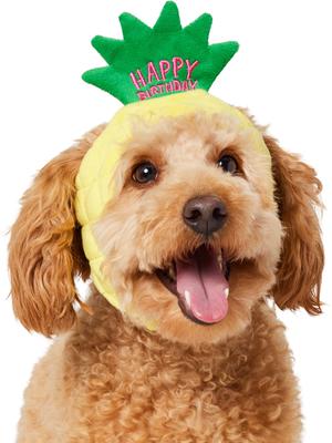 Show full view: Frisco Happy Birthday Pineapple Dog & Cat Hat, X-Small/Small slide 2 of 10