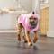 Show in main carousel: Frisco Summer Flamingo Dog & Cat Bathrobe, Small slide 7 of 11