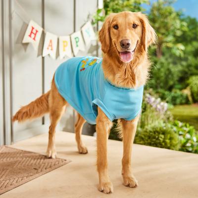 Show full view: Frisco Birthday Conga Dog & Cat T-Shirt, XX-Large slide 7 of 10