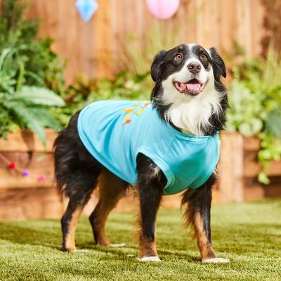 Show full view: Frisco Birthday Conga Dog & Cat T-Shirt, X-Large slide 6 of 9