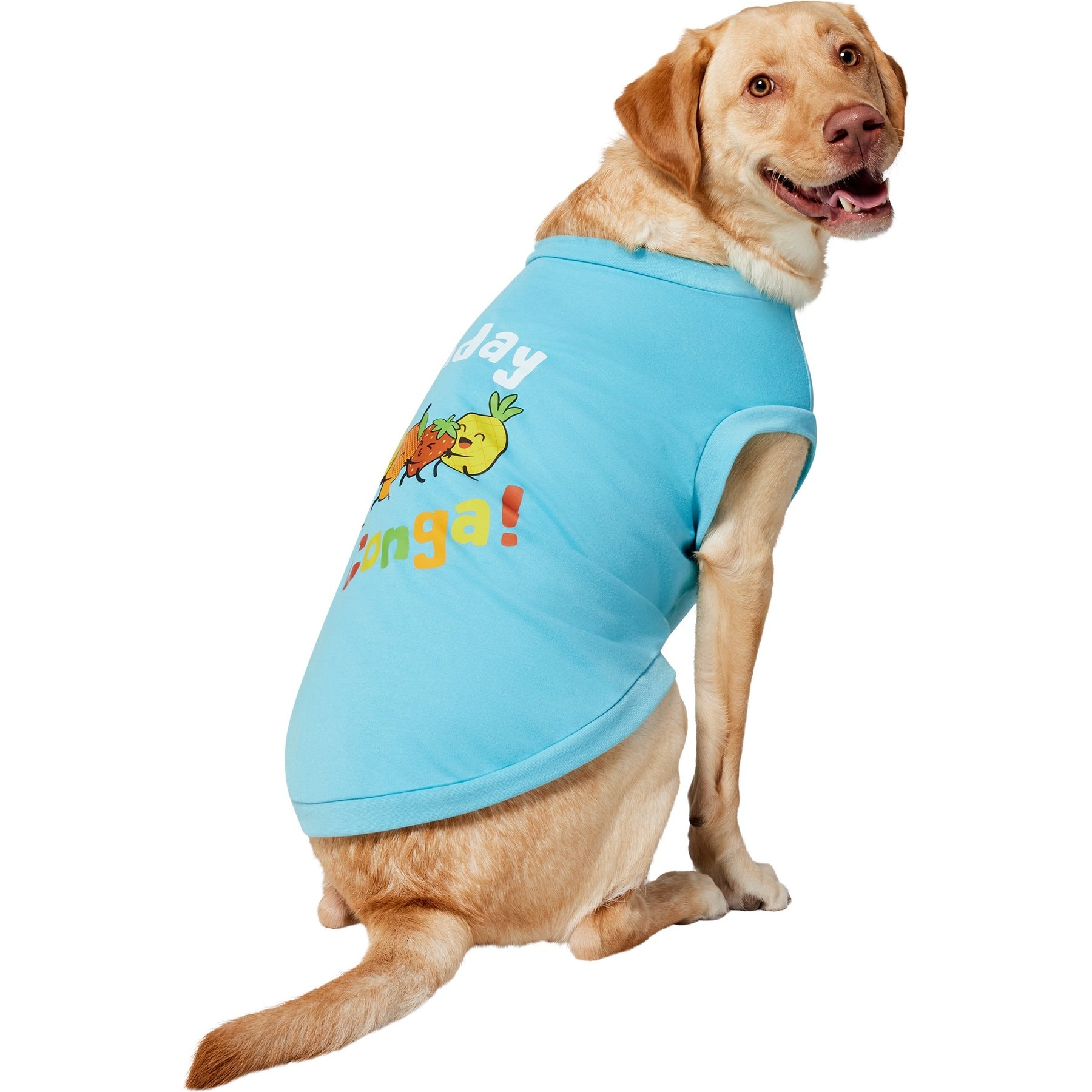 Frisco Birthday Conga Dog & Cat T-Shirt, X-Large