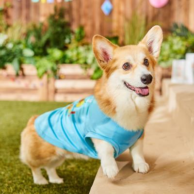 Show full view: Frisco Birthday Conga Dog & Cat T-Shirt, Large slide 6 of 9