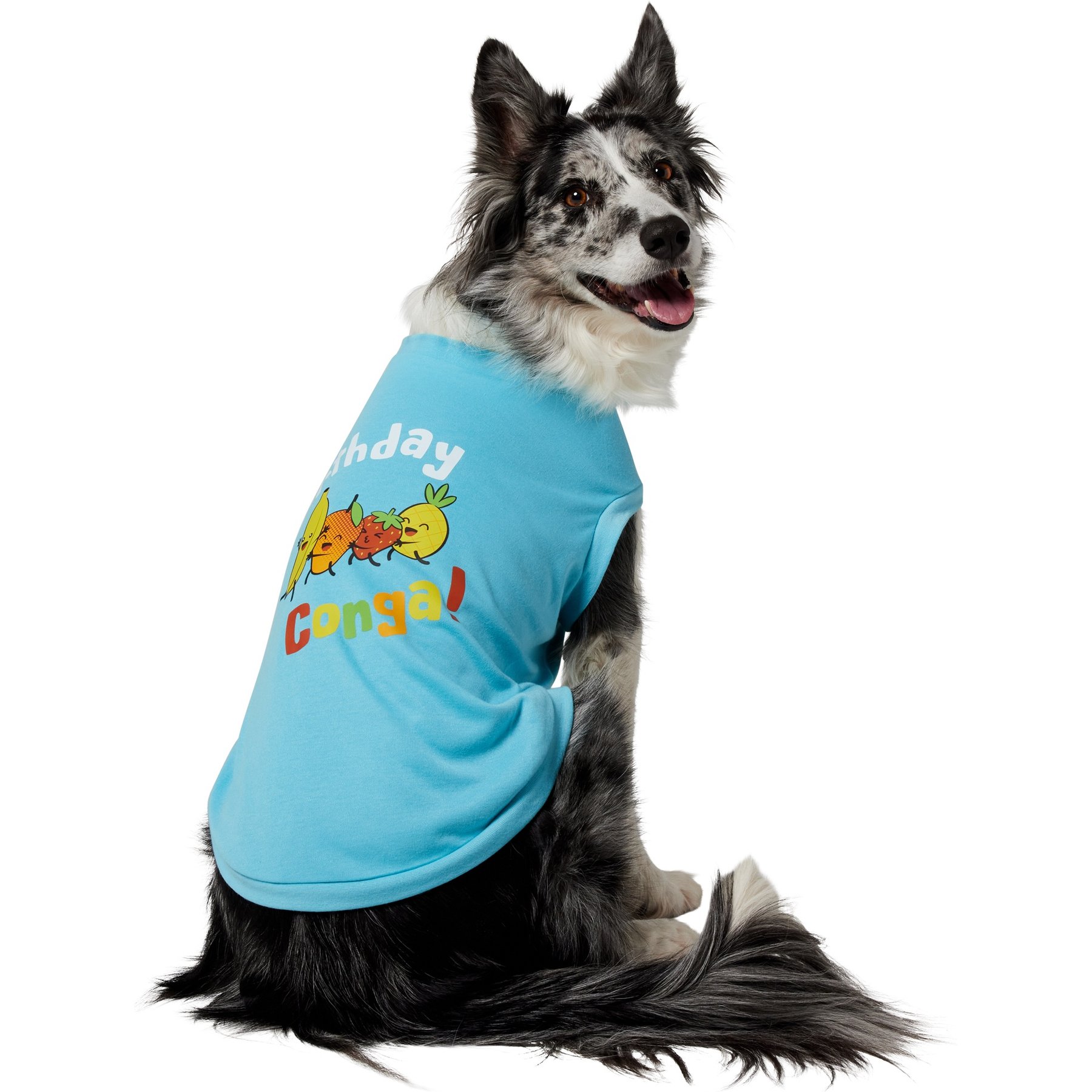Frisco Birthday Conga Dog & Cat T-Shirt, Large