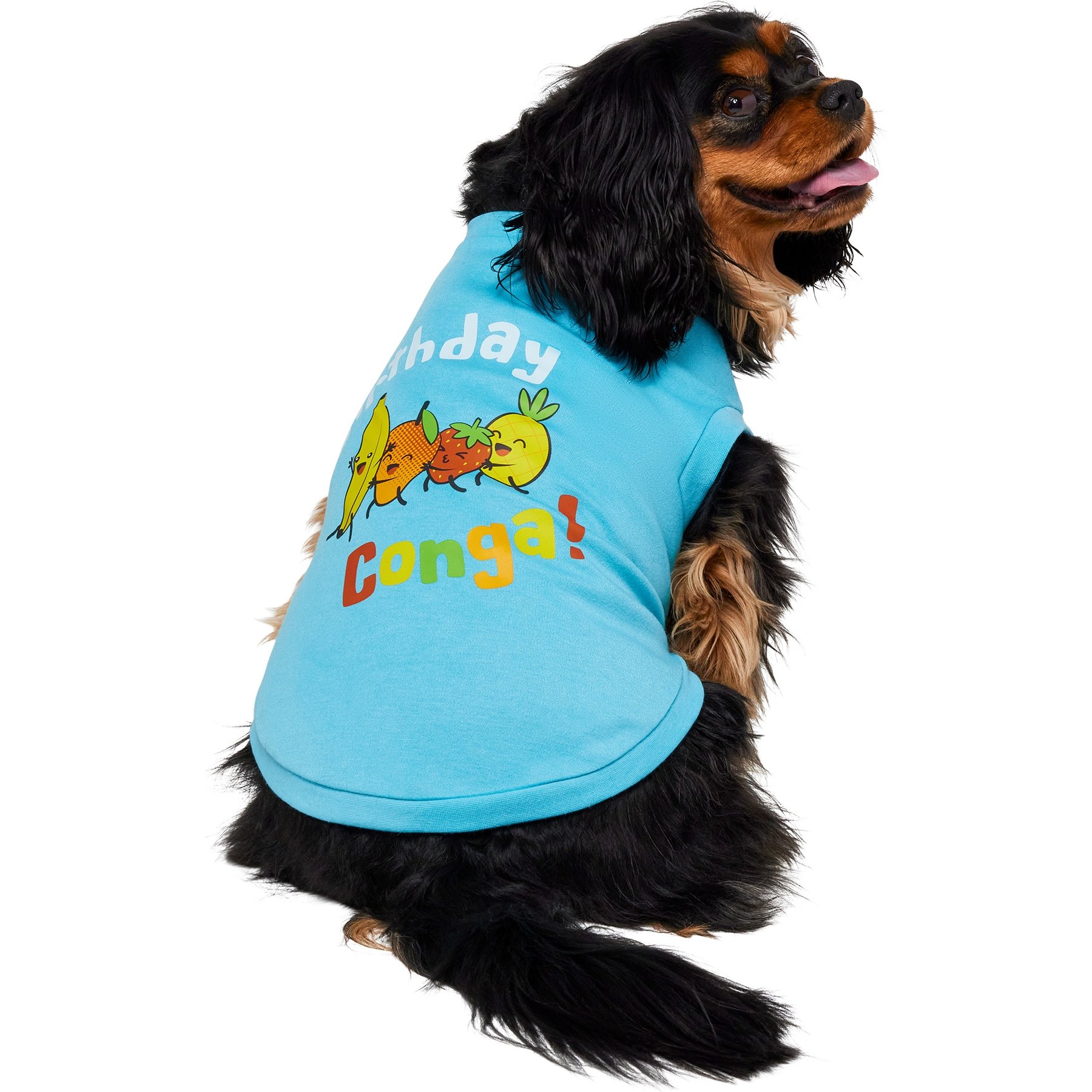 Frisco Birthday Conga Dog & Cat T-Shirt, Medium