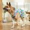 Show in main carousel: Frisco Summer Ruffle Hem Dog & Cat Dress, Tropical Palms, XX-Large slide 6 of 10