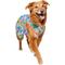 Show in main carousel: Frisco Summer Ruffle Hem Dog & Cat Dress, Tropical Palms, XX-Large slide 1 of 10