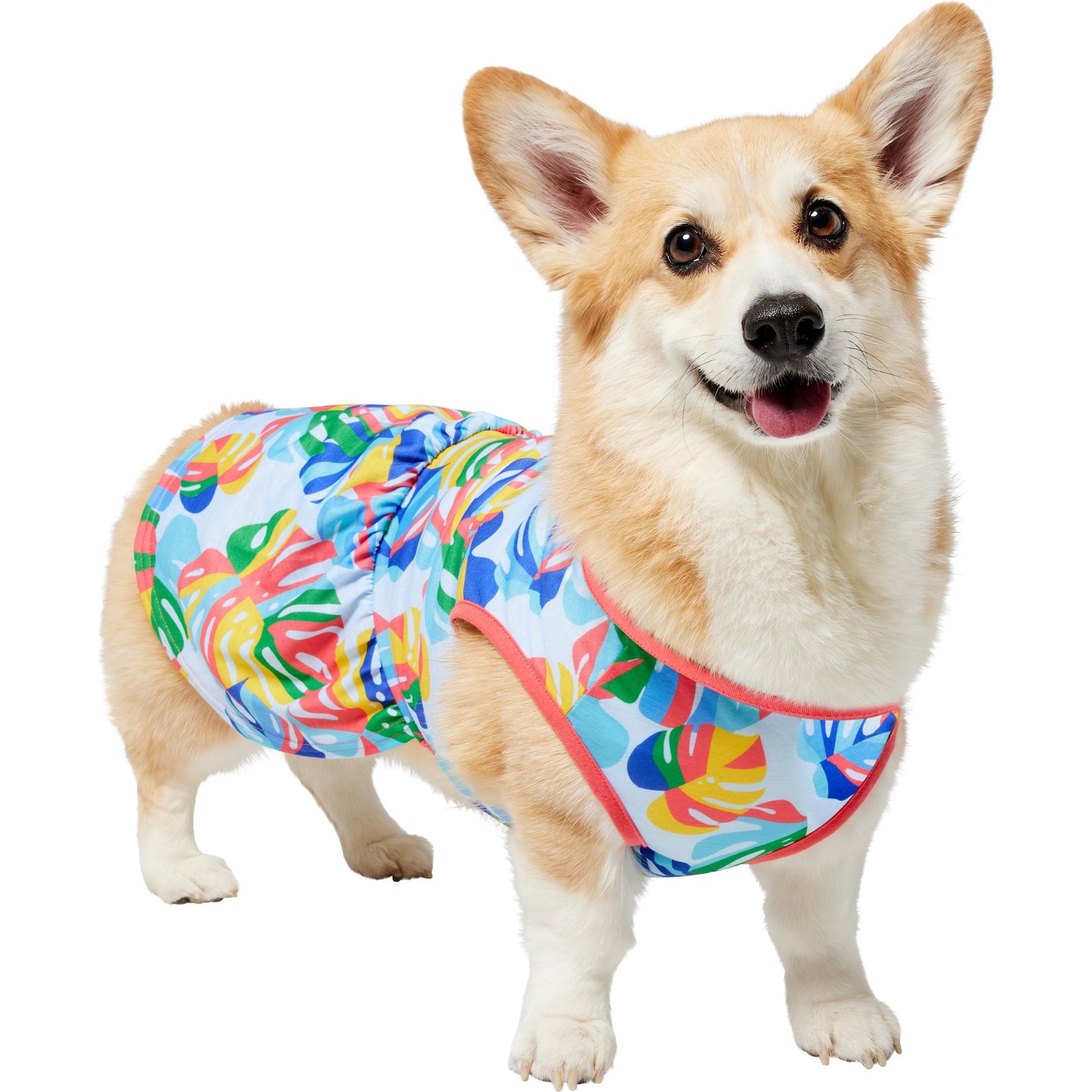 Frisco Ruffle Hem Dog & Cat Dress, Tropical Palms, Large