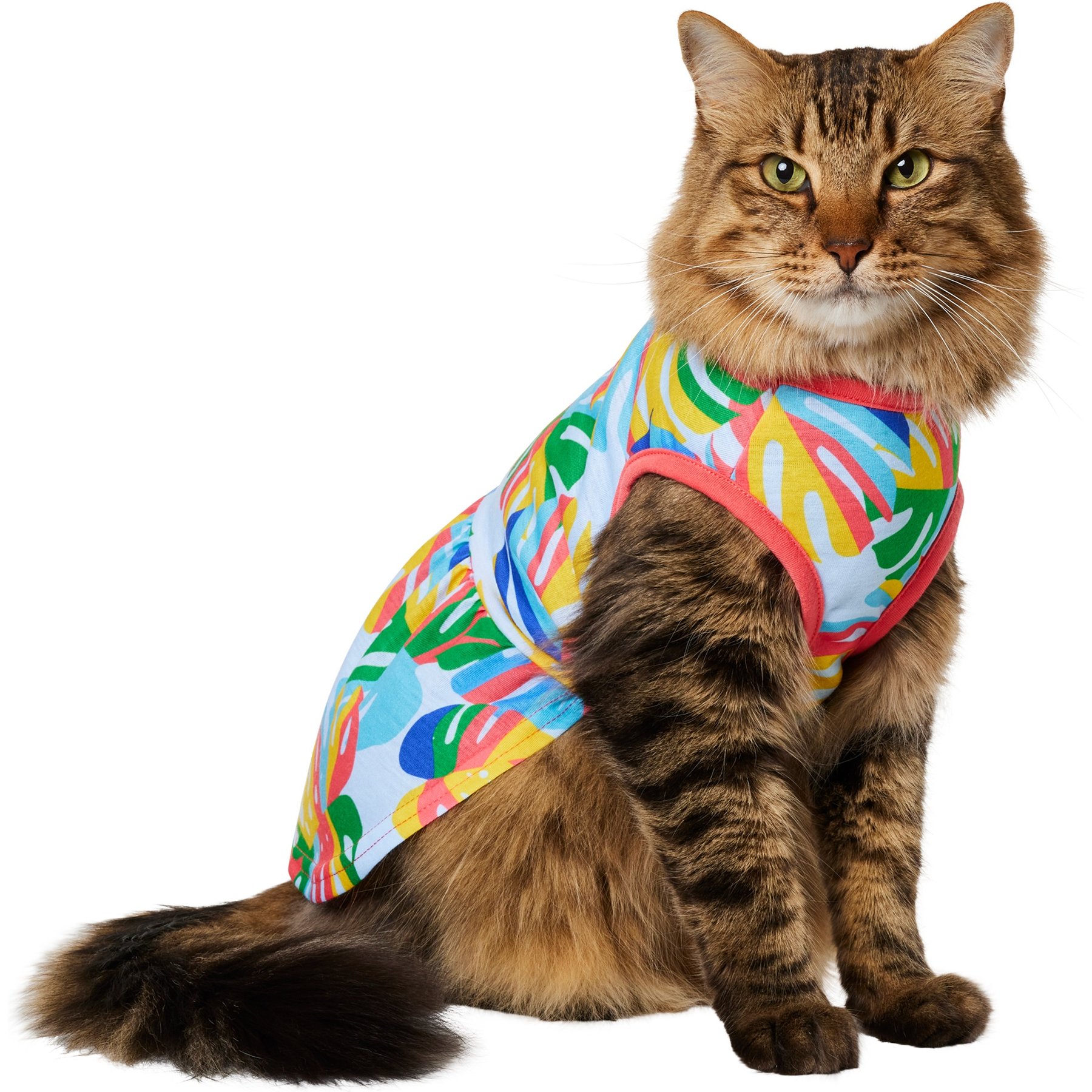 Frisco Ruffle Hem Dog & Cat Dress, Tropical Palms, X-Small