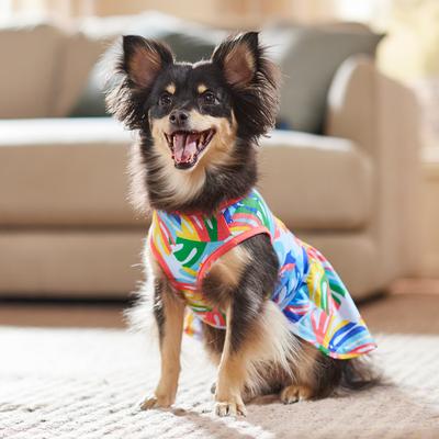 Show full view: Frisco Summer Ruffle Hem Dog & Cat Dress, Tropical Palms, Small slide 7 of 11