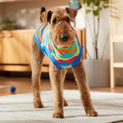 Show full view: Frisco Summer Tropical Wave Stripe Dog & Cat T-Shirt, XX-Large slide 6 of 10