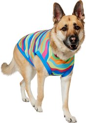 Frisco Summer Tropical Wave Stripe Dog & Cat T-Shirt, XX-Large