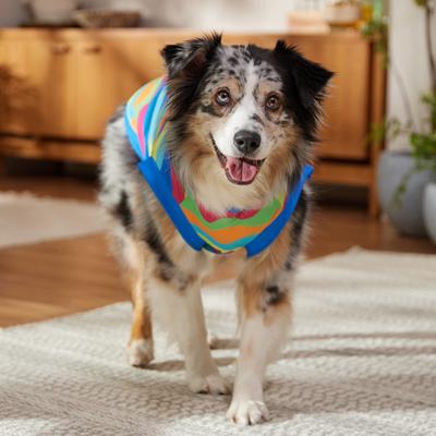 Show full view: Frisco Summer Tropical Wave Stripe Dog & Cat T-Shirt, X-Large slide 6 of 10