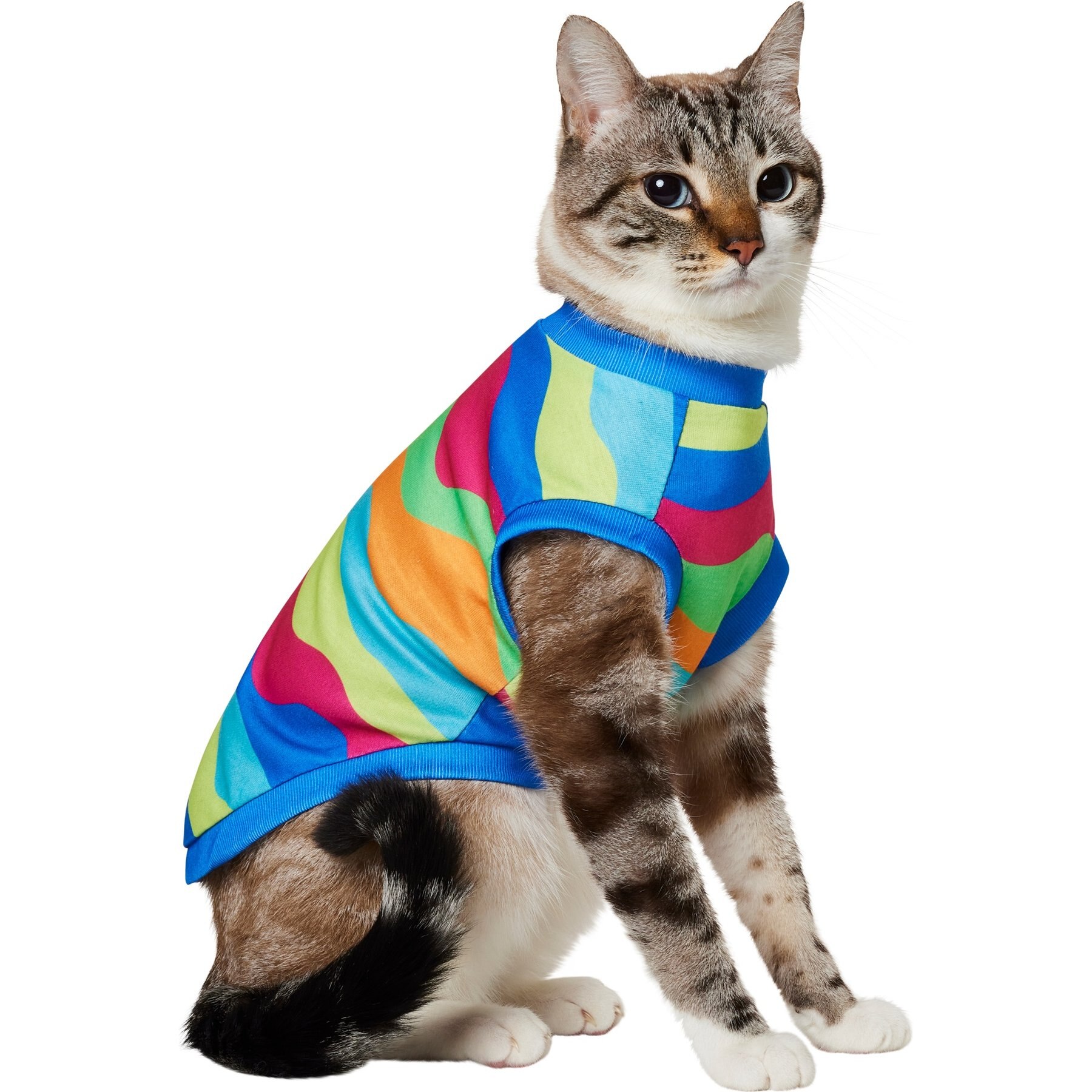 Frisco Summer Tropical Wave Stripe Dog & Cat T-Shirt, X-Small