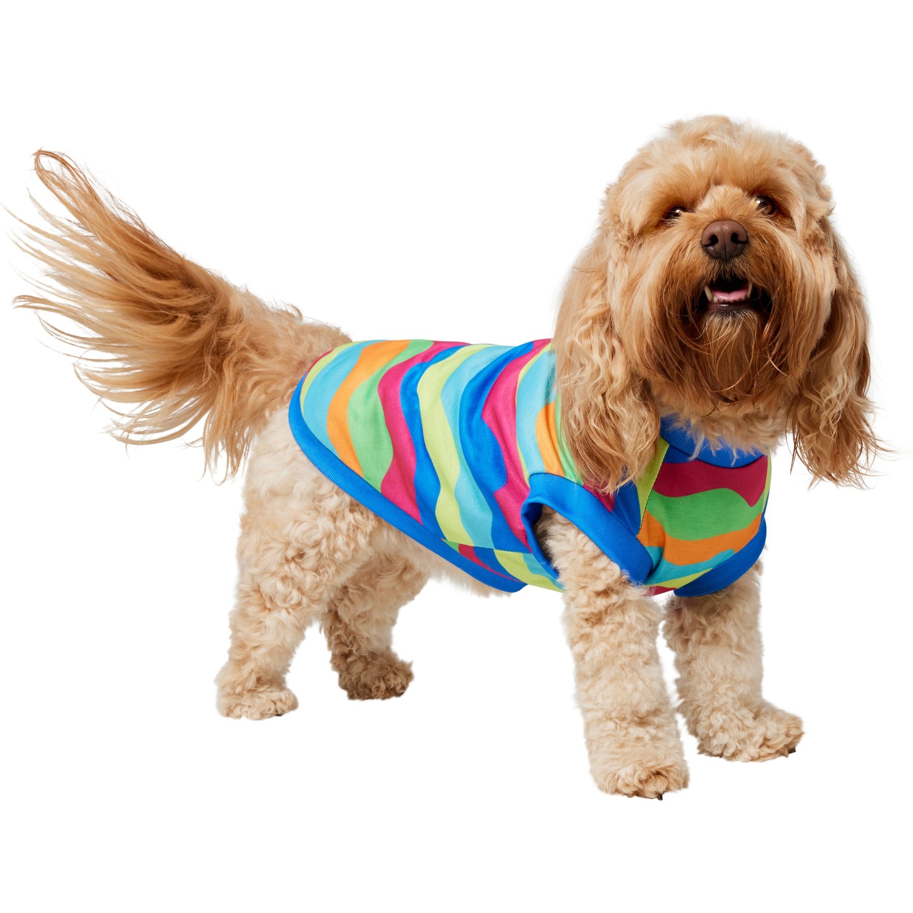 Frisco Summer Tropical Wave Stripe Dog & Cat T-Shirt, Medium