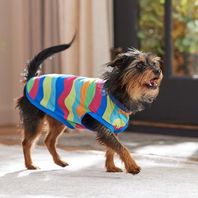 Show full view: Frisco Summer Tropical Wave Stripe Dog & Cat T-Shirt, Small slide 7 of 11