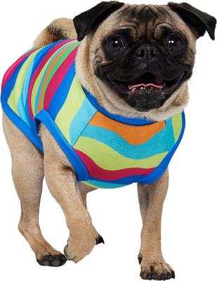 Show full view: Frisco Summer Tropical Wave Stripe Dog & Cat T-Shirt, Small slide 2 of 11