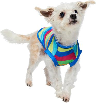 Show full view: Frisco Summer Tropical Wave Stripe Dog & Cat T-Shirt, X-Small slide 2 of 11